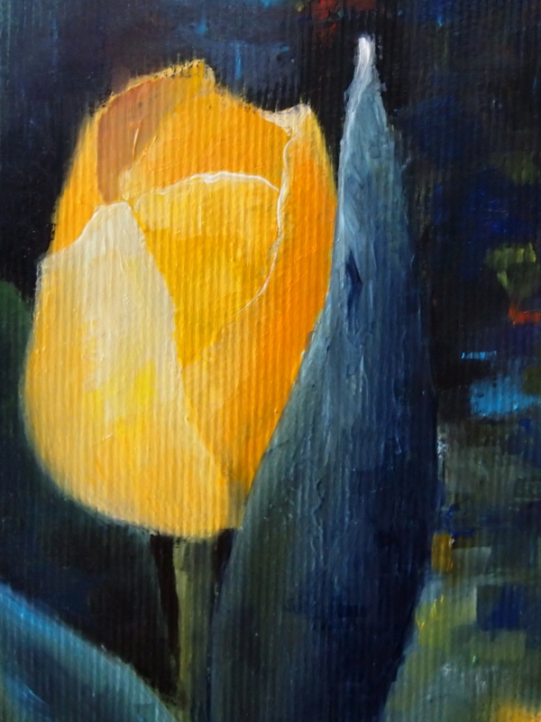 Żółty tulipan - detal